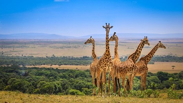 Samburu, Mount Kenya Safari Club, Maasai Mara Flying Package