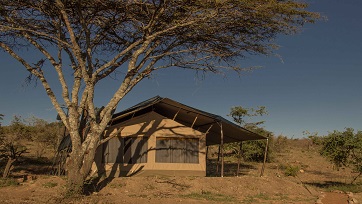 Maasai Mara, Lake Nakuru and Amboseli Safari